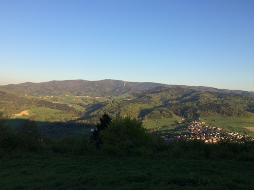 IMG_1441.jpg