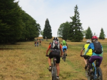 08 MTB Kandel 15