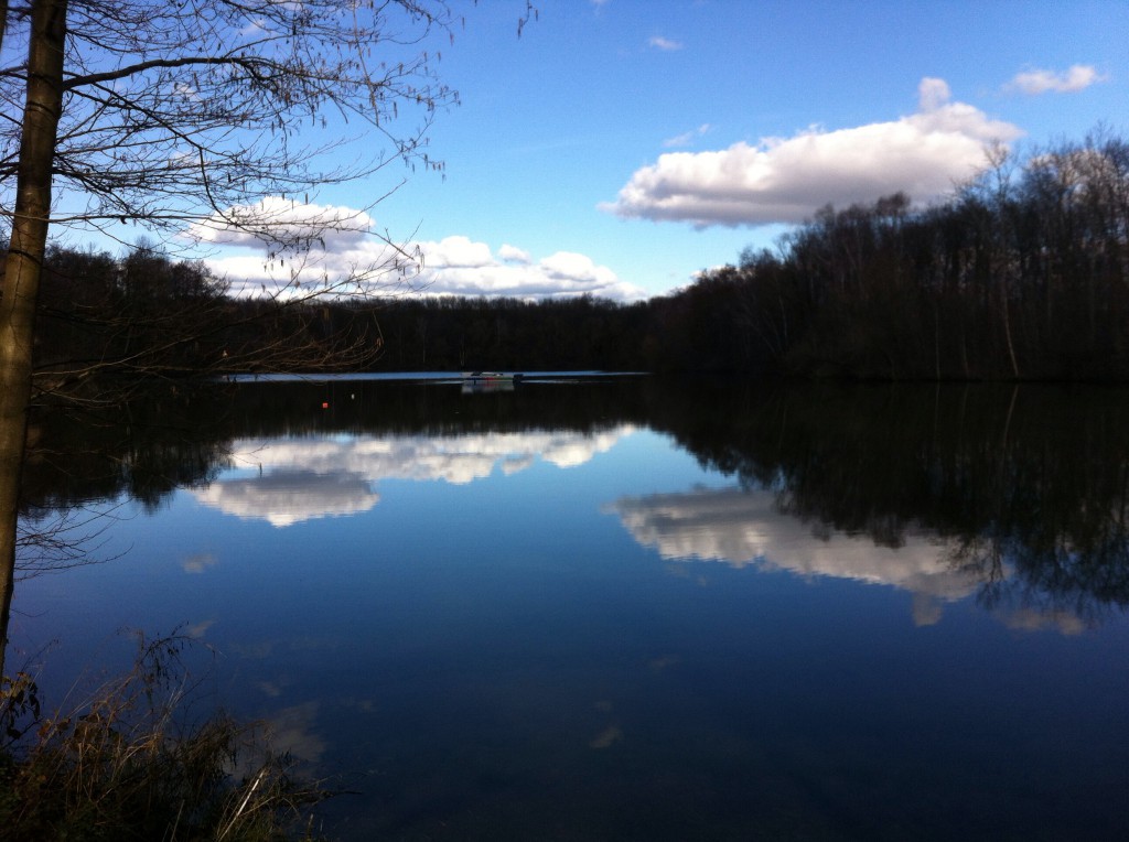 20140224-085139.jpg