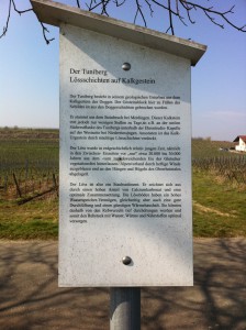 Tuniberg